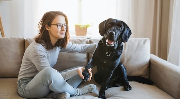 Woman sitting on a hotel sofa holding the paw of a black labrador